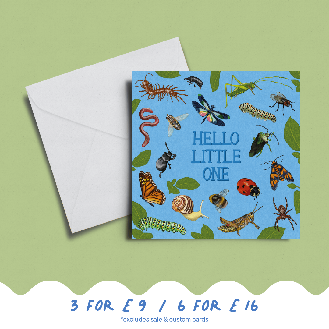 'Hello Little One' Card