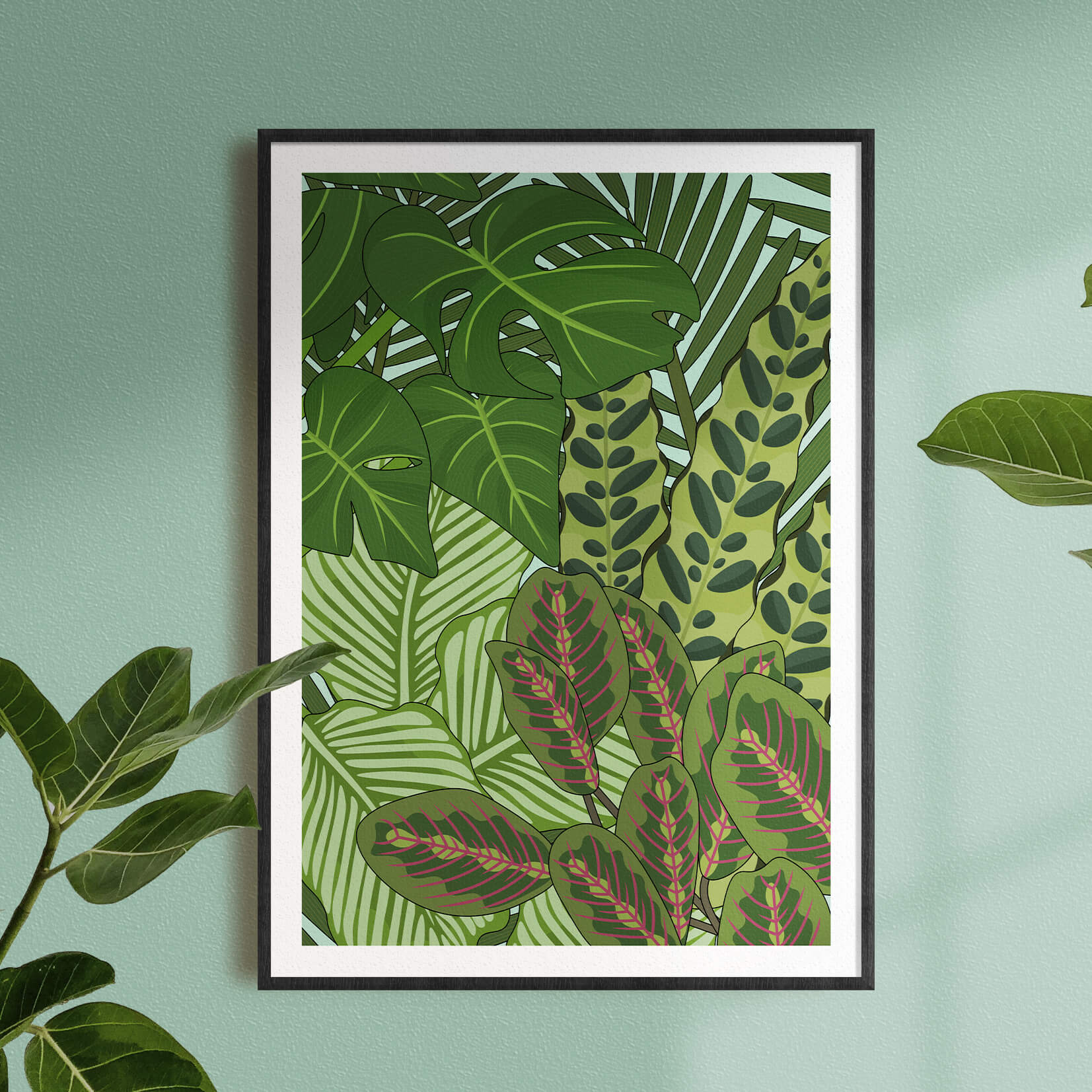 house plant print House Plants' Limited Edition Print – Jessica Mae Design