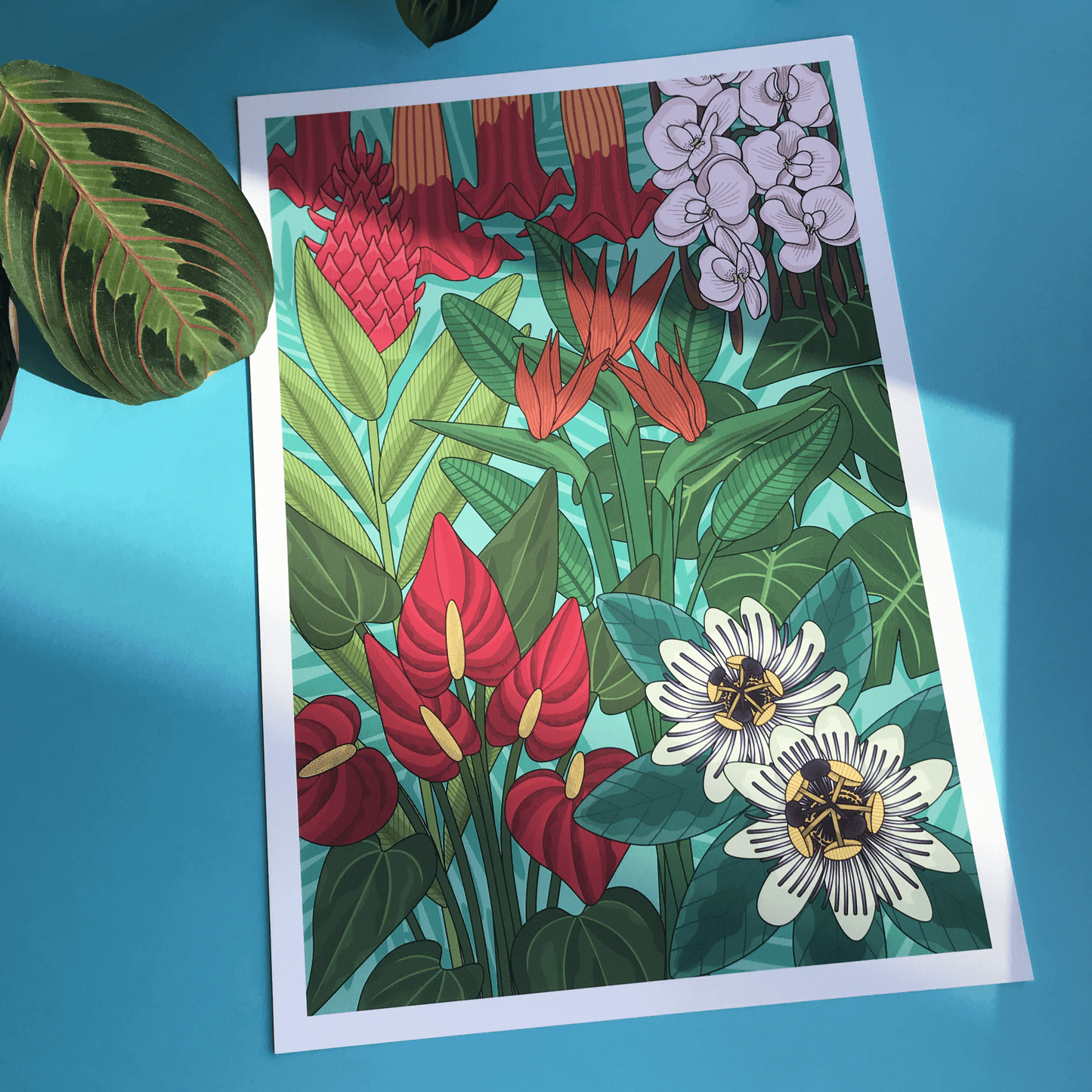 'Tropical Paradise' Print