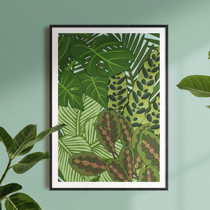 'House Plants' Limited Edition Print
