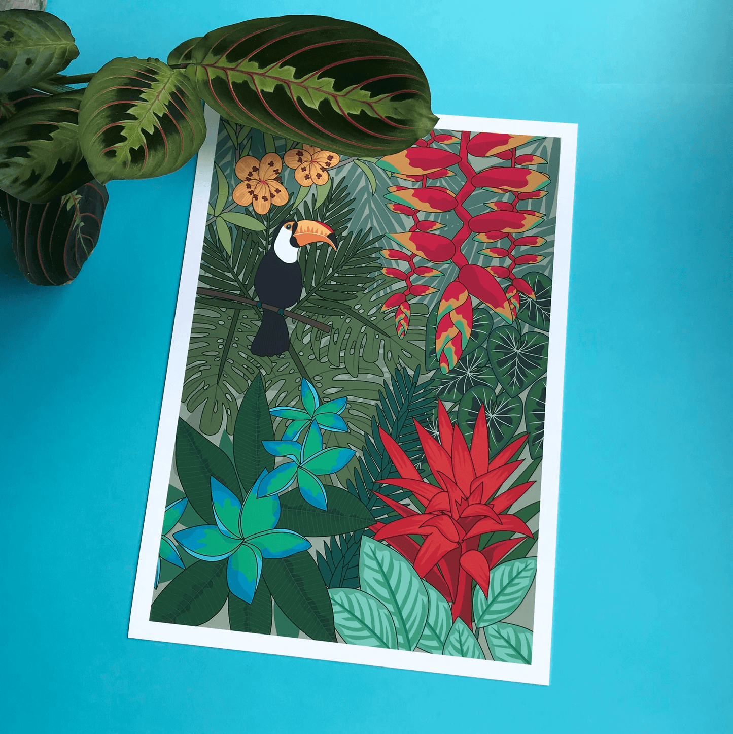 'Welcome to the Jungle' Limited Edition Print